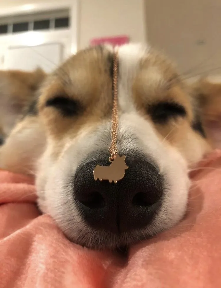 PREORDER: Corgi Things Necklace | Rose GoldFilled